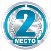 Картонная медаль "2 место" 55,600,00