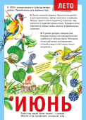 Плакат "12 месяцев: Июнь" 071.499