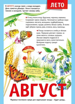 Плакат "12 месяцев: Август" 071.501