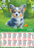 Листовой календарь на 2026 год А2 "Собаки. Милый ушастик" ПО-26-105
