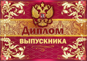 Диплом выпускника 3200284