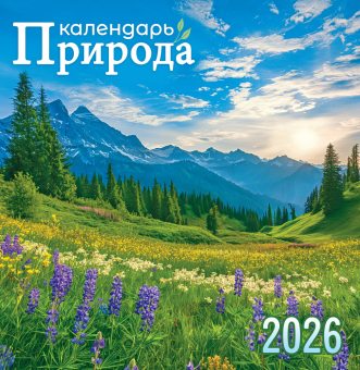СРЕДНИЙ перекидной настенный календарь на скрепке на 2026 год "Прекрасные дали" ПК-26-051