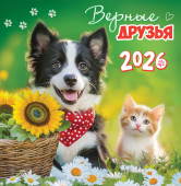 СРЕДНИЙ перекидной настенный календарь на скрепке на 2026 год "Кот и пёс. Верные друзья" ПК-26-035