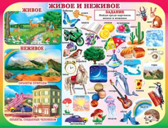 Плакат "Живое и неживое" 1ПЛ-249