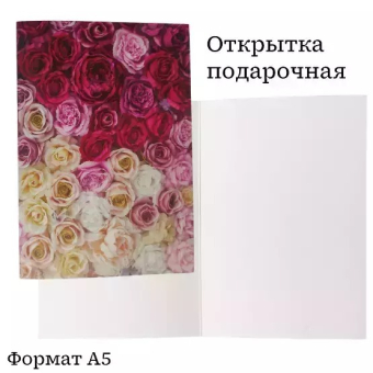 Открытка "Без надписи" OP00000020