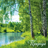 БОЛЬШОЙ перекидной настенный календарь на скрепке на 2026 год "Природа. Берёзки" БПК-26-031 (без упаковки)