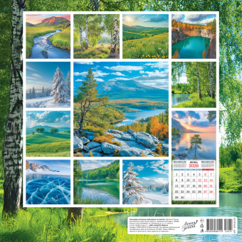 БОЛЬШОЙ перекидной настенный календарь на скрепке на 2026 год "Природа. Берёзки" БПК-26-031 (без упаковки)
