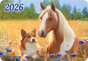Карманный календарь 2026 "Символ года" КГ-26-211