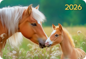 Карманный календарь 2026 "Символ года" КГ-26-200