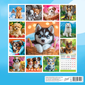 БОЛЬШОЙ перекидной настенный календарь на скрепке на 2026 год "Собаки. Милый друг" БПК-26-025 (в упаковке) БОЛЬШОЙ перекидной настенный календарь на скрепке на 2026 год "Собаки. Милый друг" БПК-26-025 (в упаковке)