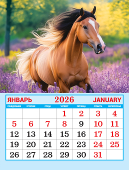 Календарь на магните на 2026 год "Символ года. Чудесные лошади" КМО-26-007 (в упаковке)