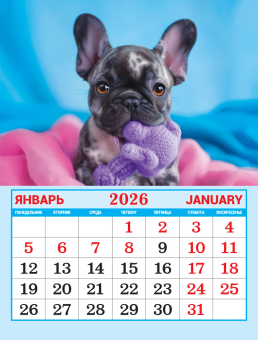 Календарь на магните на 2026 год "Собачки. Милый друг" КМО-26-018 (в упаковке)