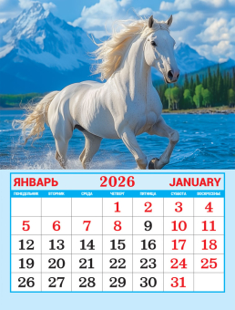 Календарь на магните на 2026 год "Символ года. Вольные просторы" КМО-26-006 (в упаковке)