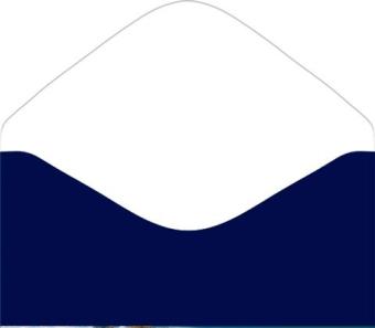 Конверт для денег "С Новым годом!" 2-17-5169