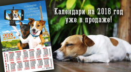 Календари 2018 в продаже!