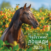 БОЛЬШОЙ перекидной настенный календарь на скрепке на 2026 год "Символ года. Чудесные лошади" БПК-26-007 (в упаковке) БОЛЬШОЙ перекидной настенный календарь на скрепке на 2026 год "Символ года. Чудесные лошади" БПК-26-007 (в упаковке)