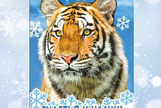 НОВИНКА: новогодние виниловые МАГНИТЫ ПО 14 руб. НОВИНКА: новогодние виниловые МАГНИТЫ ПО 14 руб.