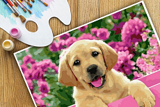 СКИДКА 15% для всех на КАРТИНЫ ПО НОМЕРАМ СКИДКА 15% для всех на КАРТИНЫ ПО НОМЕРАМ